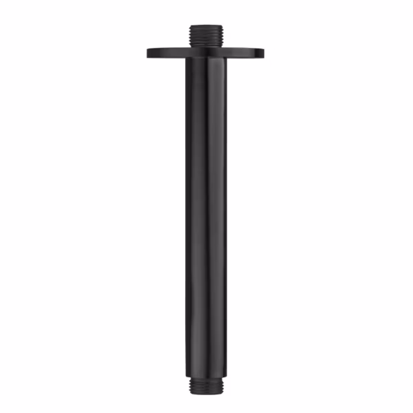 RVS regendouche plafon aansluiting 300 mm PVD BGM
