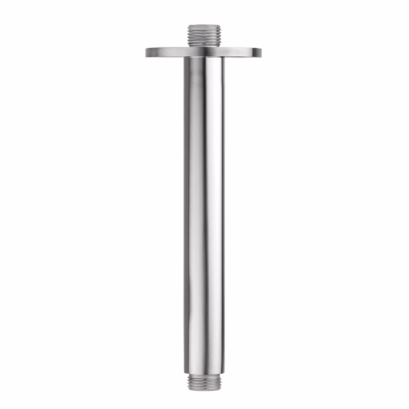 RVS regendouche plafon aansluiting 30 cm