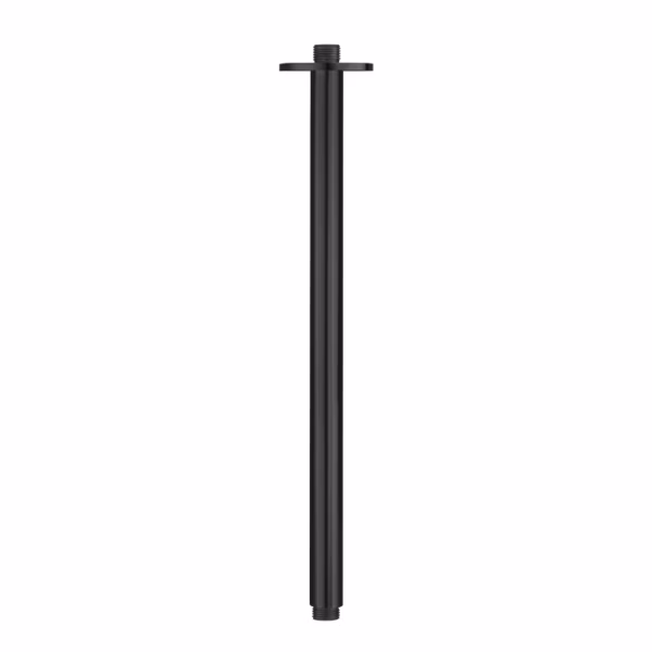 RVS regendouche plafon aansluiting 500 mm PVD BGM