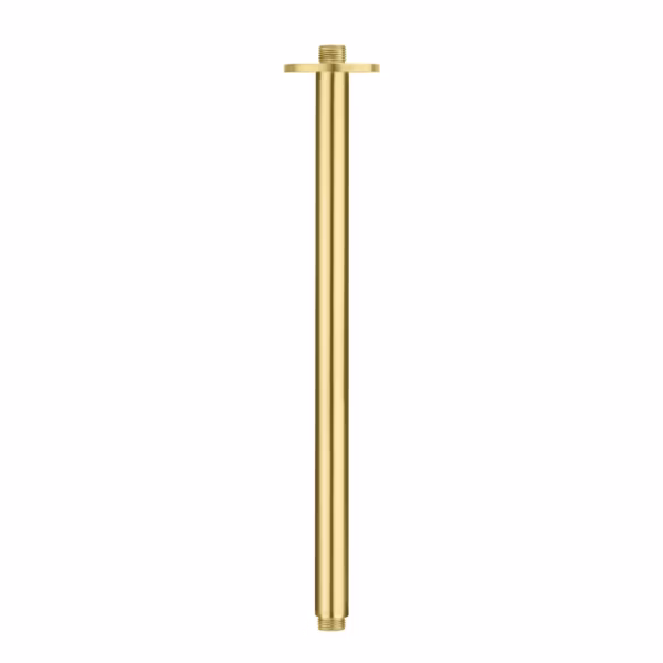 RVS regendouche plafon aansluiting 500 mm PVD GOUD