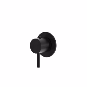rvs 316L bad douche thermostaatkraan inbouw PVD zwart
