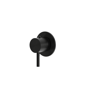 rvs 316L bad douche thermostaatkraan inbouw PVD zwart