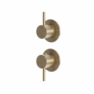 rvs 316L bad douche thermostaatkraan set PVD light gold