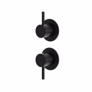 rvs 316L bad douche thermostaatkraan set PVD zwart