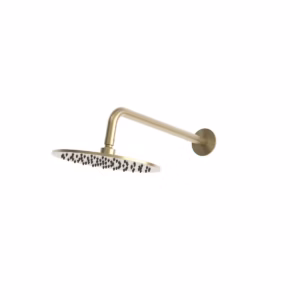 rvs 316L regendouche met wanduitloop pvd gold
