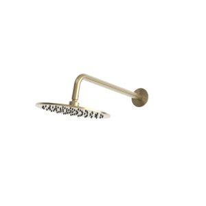 rvs 316L regendouche met wanduitloop pvd gold