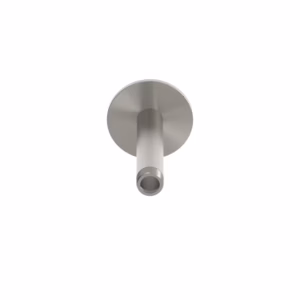 rvs 316L aansluiting plafond regendouchekop 12 cm