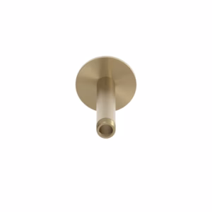 rvs 316L aansluiting plafond regendouchekop 12 cm PVD light gold