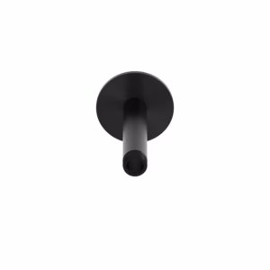 rvs 316L aansluiting plafond regendouchekop 12 cm PVD zwart