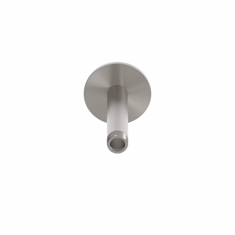 rvs 316L aansluiting plafond regendouchekop 12 cm