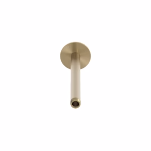 rvs 316L aansluiting plafond regendouchekop 24 cm PVD light gold