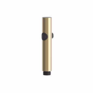 rvs 316L bidet handdouchesproeier PVD light gold