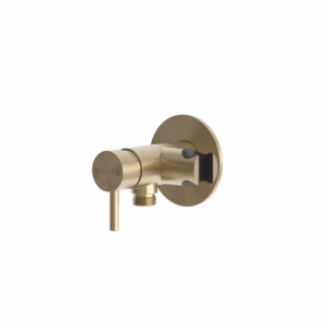 rvs 316L bidet mengkraan set PVD light gold